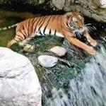 Fort Worth Zoo