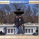 Detroit Zoo