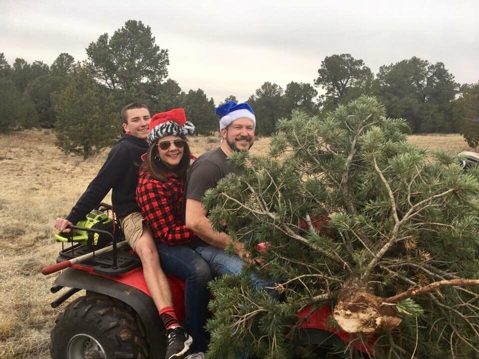 Christmas Tree Hunting near Bluewater