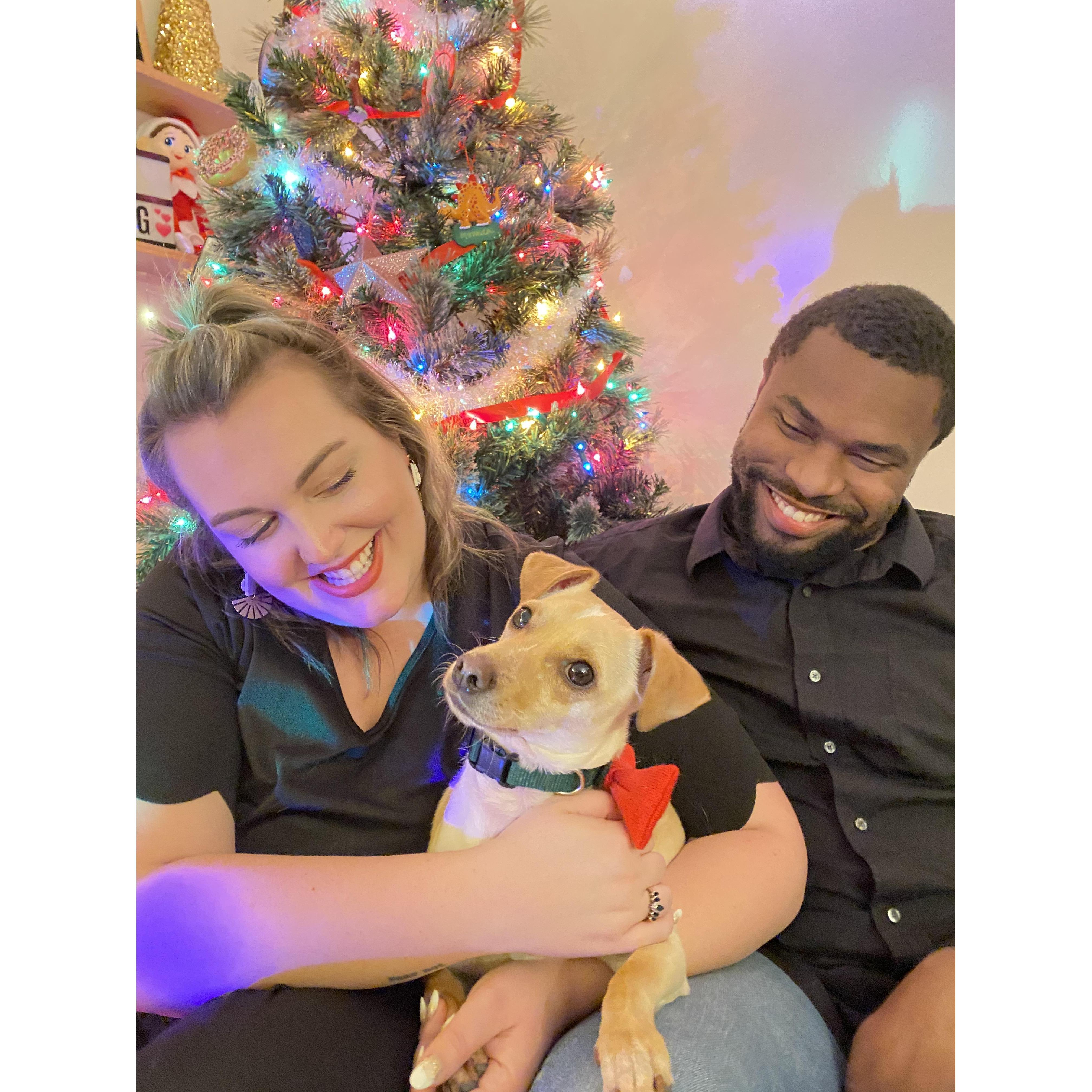 Family Holiday Photo