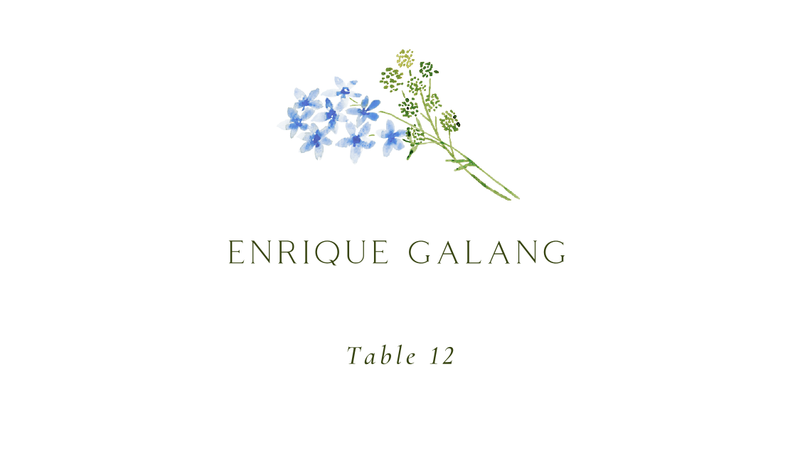 Rydal | Cornflower Blue | Zola Wedding Place Cards
