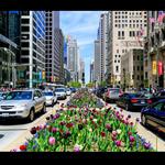 Magnificent Mile