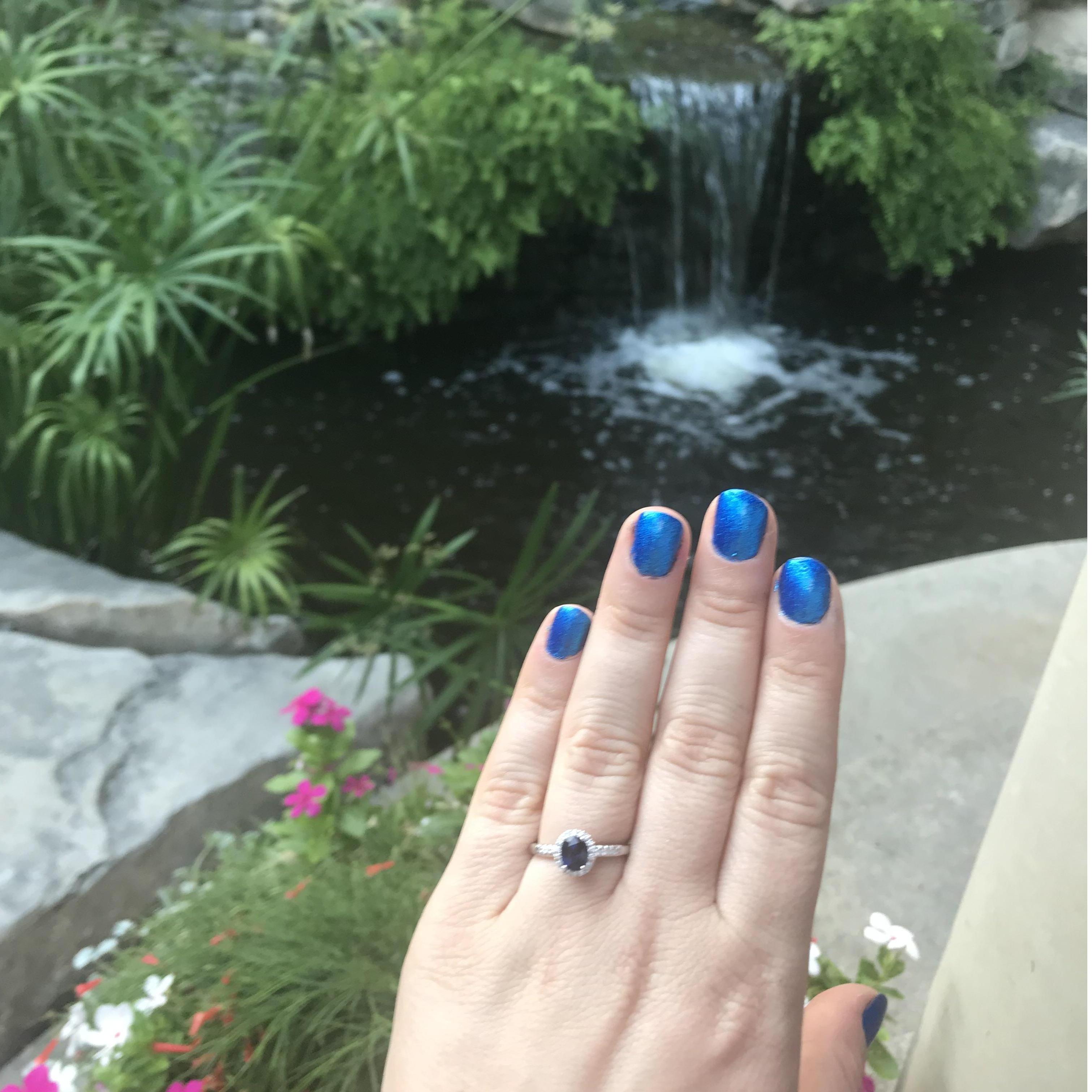 The Engagement