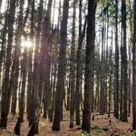 Rancocas Nature Center