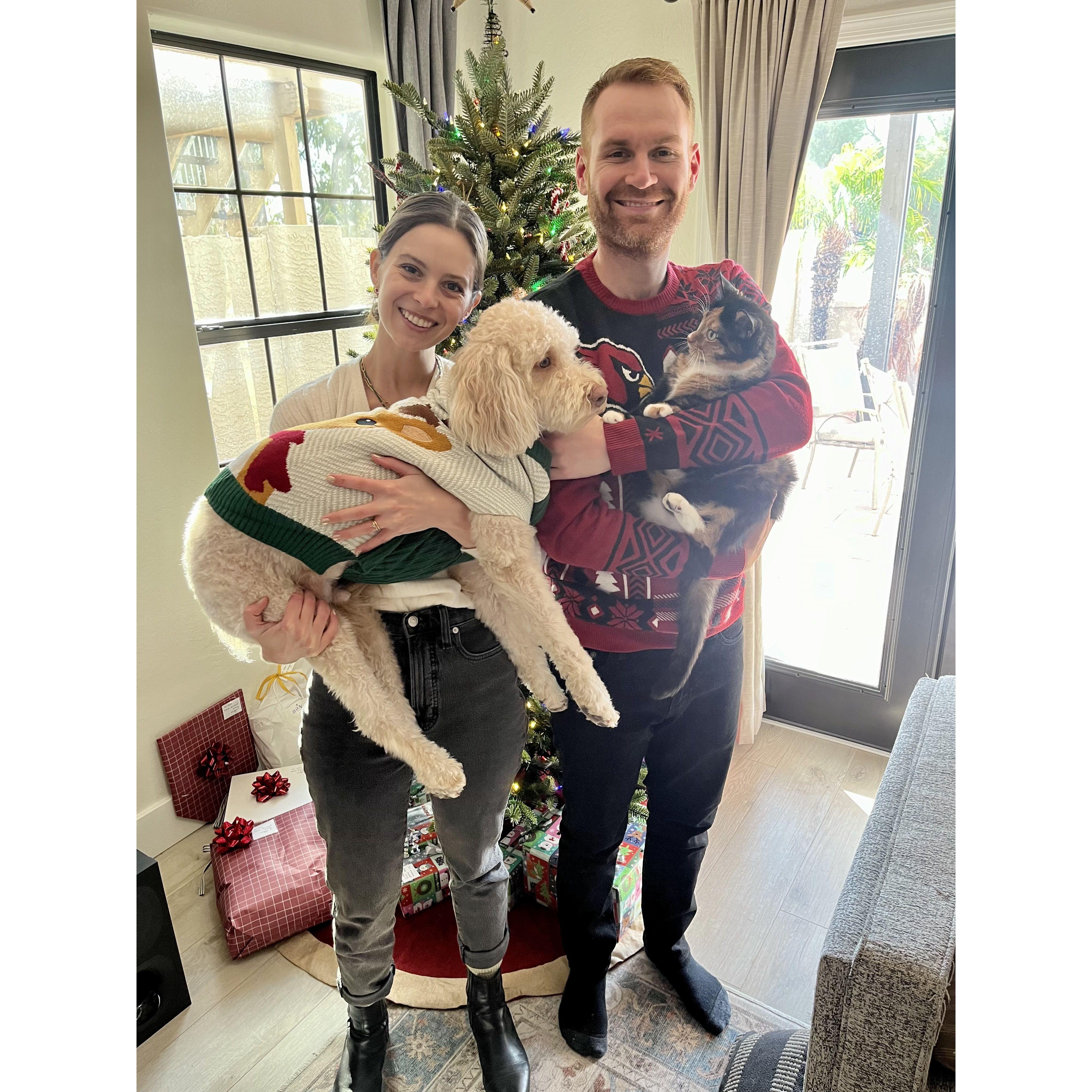 Forcing the Family to Take a Christmas Photo (c. 2024)