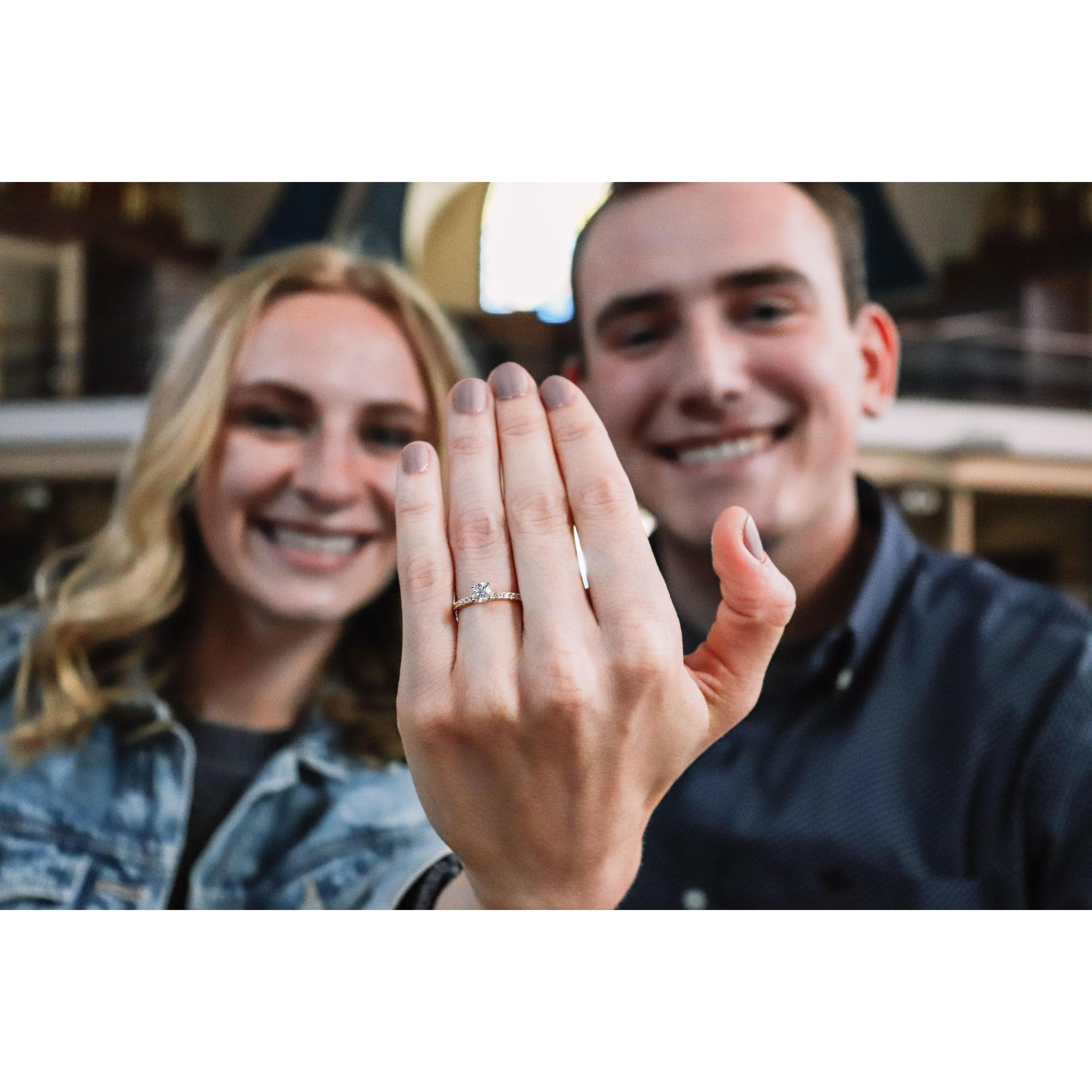 3.31.19