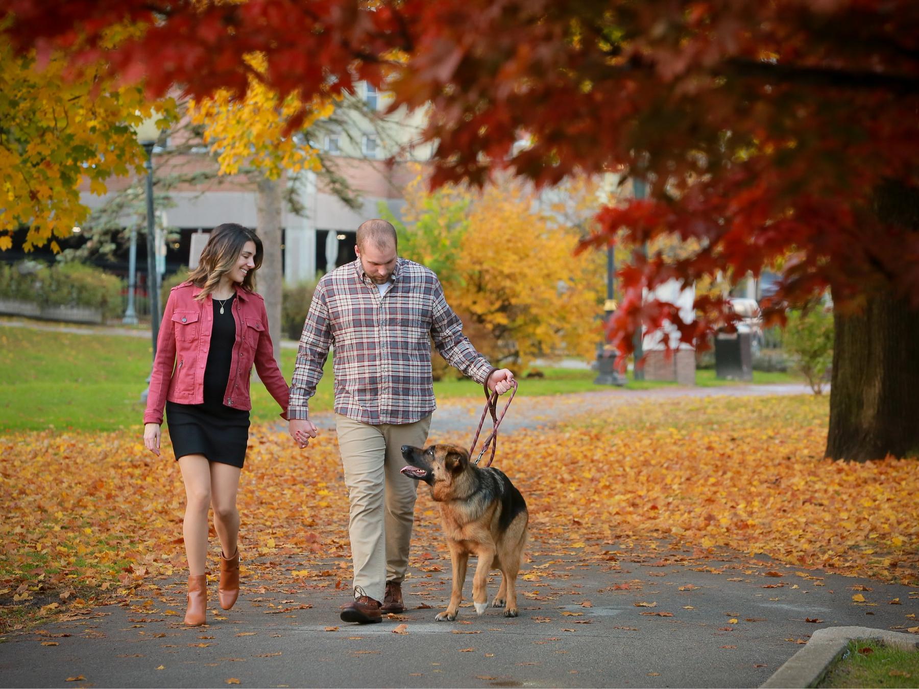 272c4d8e-7650-4b1a-a704-a02cbfcb5fcf