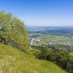 Pleasanton Ridge