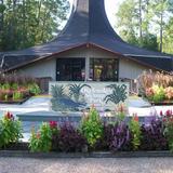 Okefenokee Swamp Park