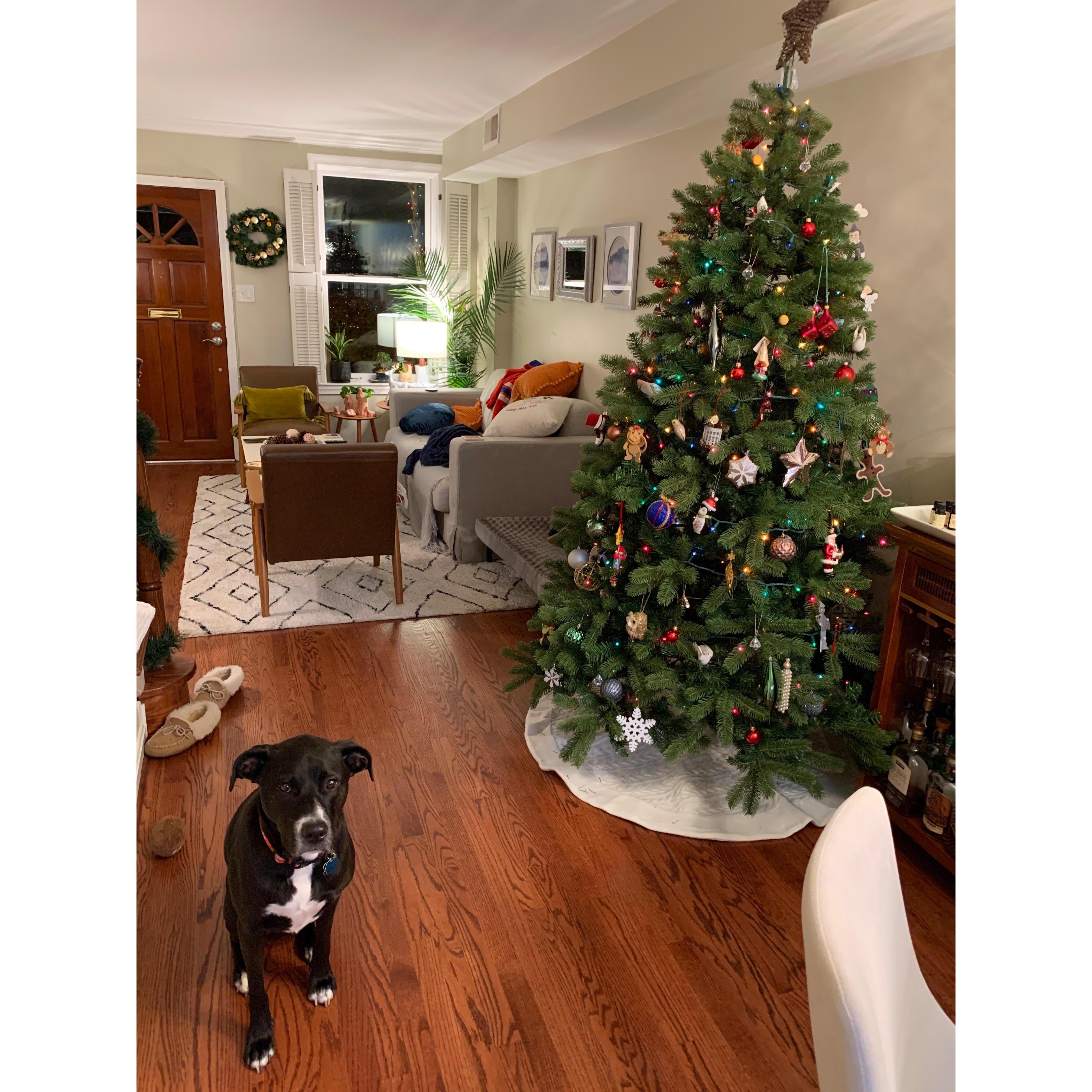 Our first Christmas in our home together!