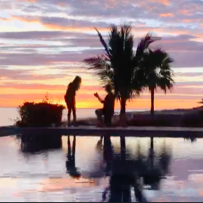 The proposal!