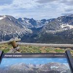 Forest Canyon Overlook