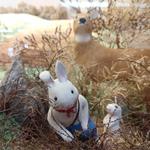 Green Briar Nature Center and Jam Kitchen