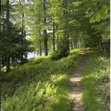 Hiking & Biking Trails / Hiking y Caminatas de Bicicleta