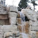 Putt Putt Fun Center