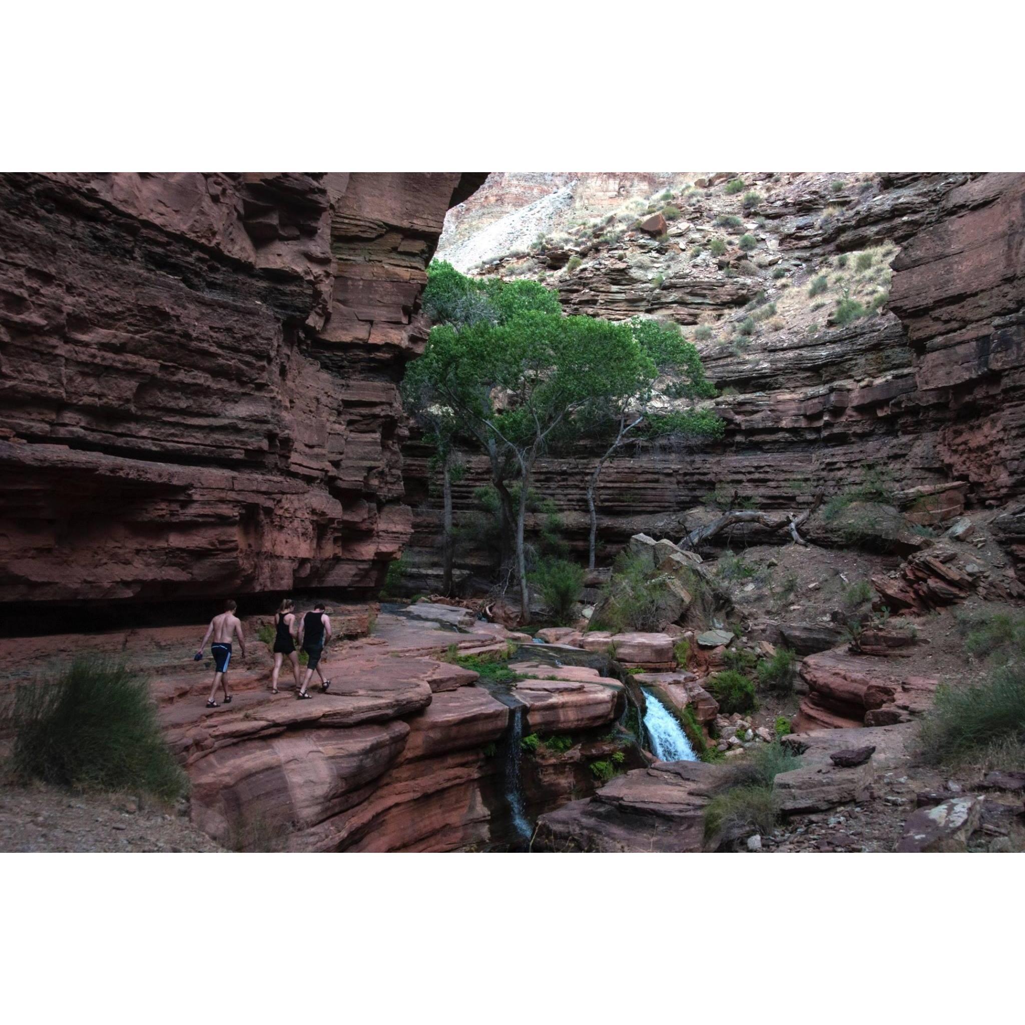 Deer Creek in the Grand Canyon