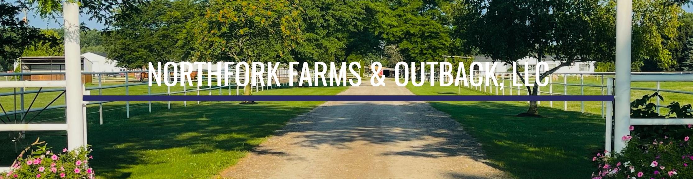 The Wedding Website of Jesse Goforth and Holly Hale