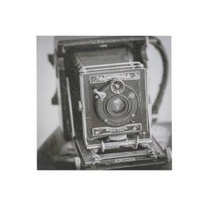 Vintage Camera Gel Coated Canvas Black/White 20"x20"