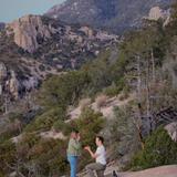 Mt. Lemmon