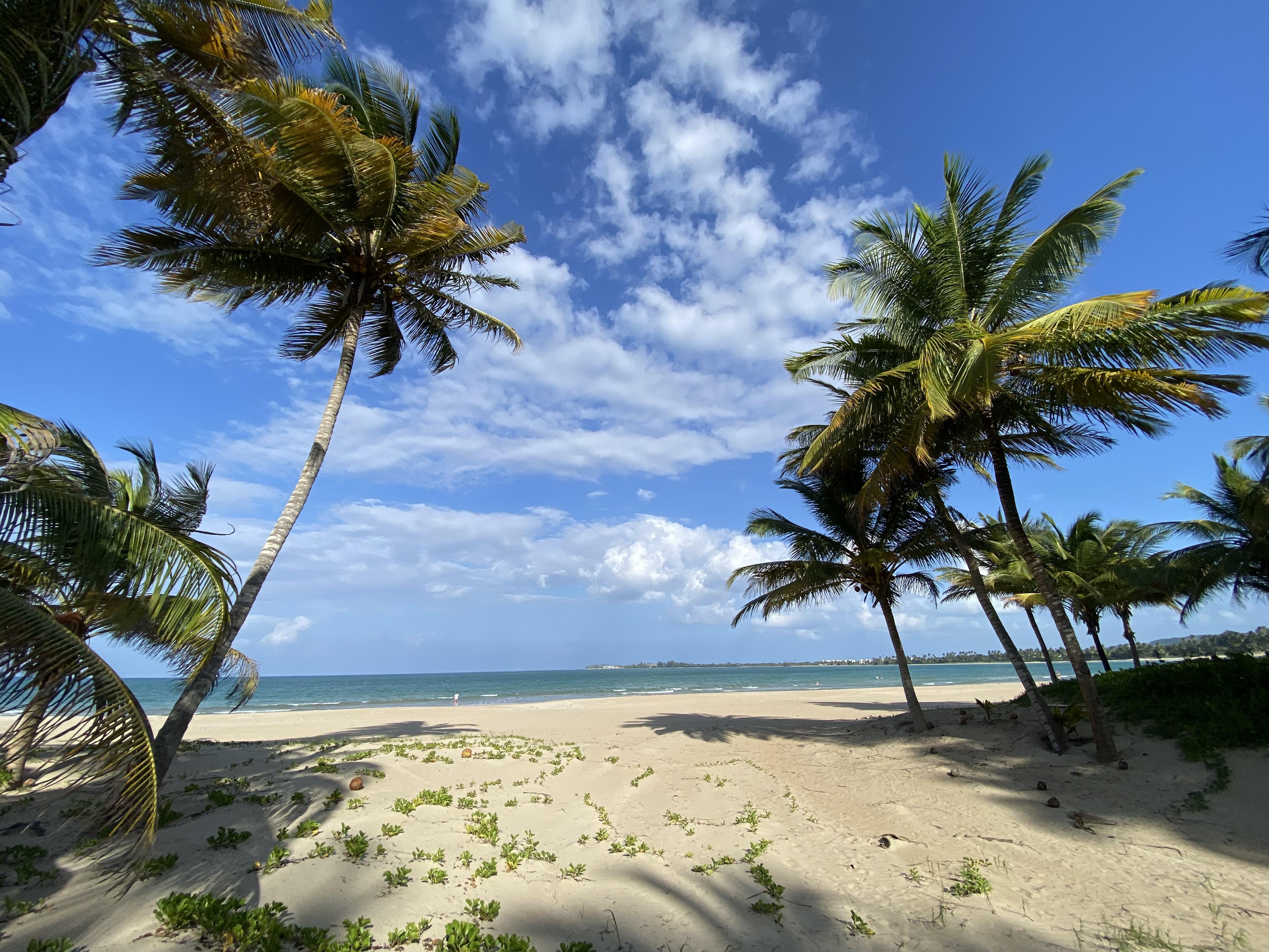 273b43e8-7ab0-426c-b87e-f5101c9244d3