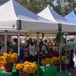 Saturday Morning Market