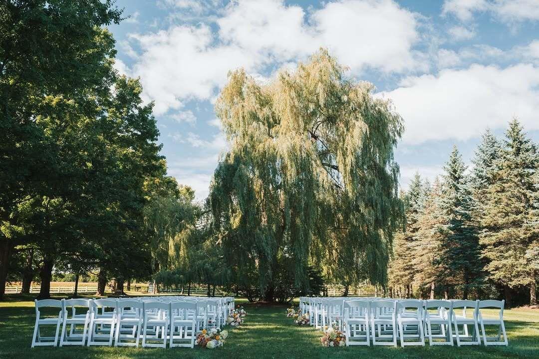 The Wedding Website of Olga Mudrachenko and Cristian Tarea