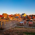 Vala's Pumpkin Patch & Apple Orchard