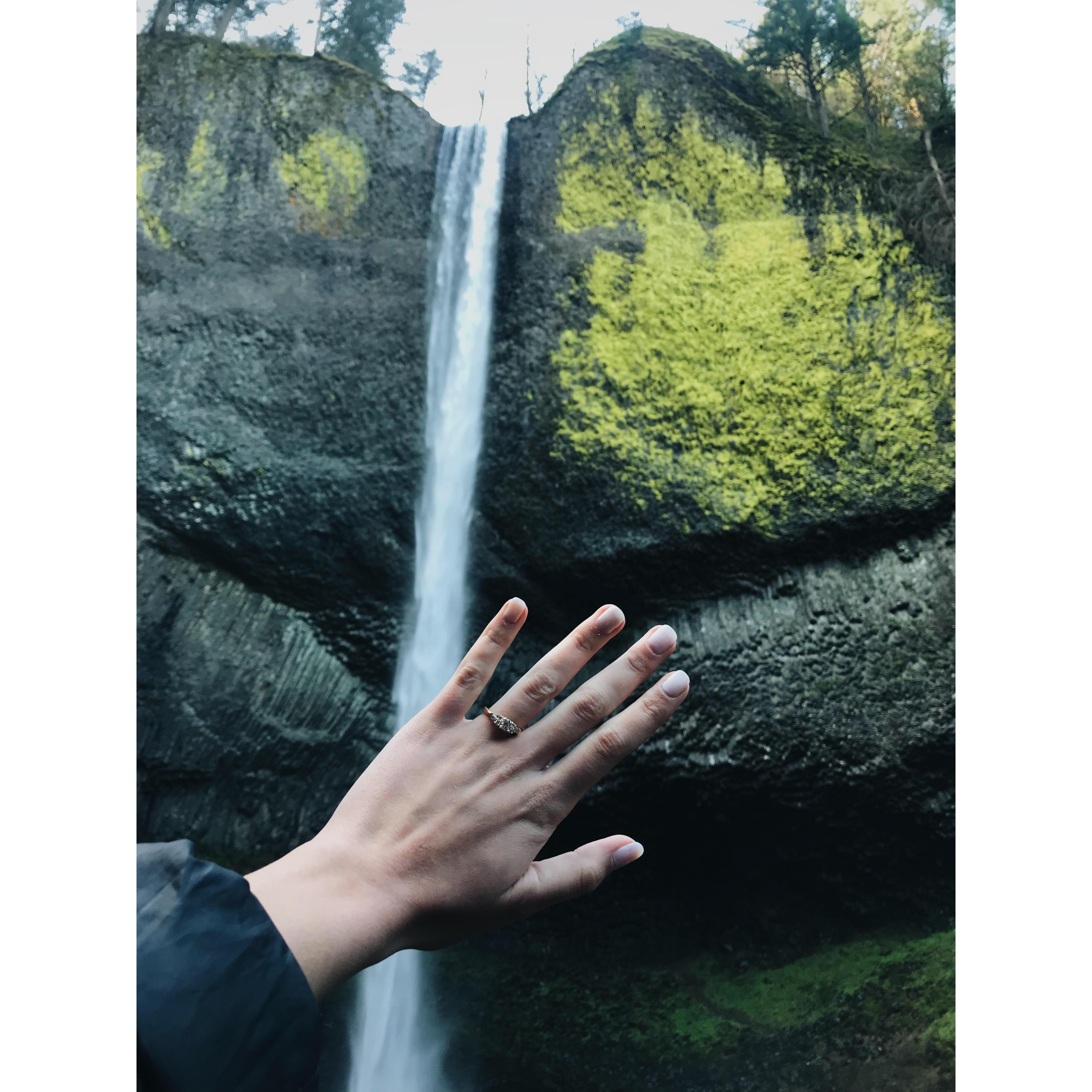 Latourell Falls - where Micah proposed!
Micah surprised Moriah with a trip to Portland in March and she got to show him all of her favorite places