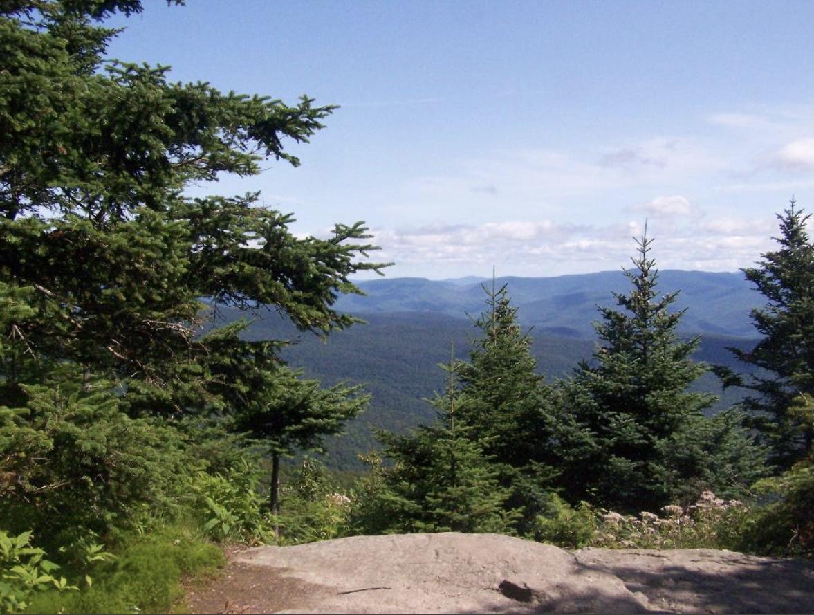 The Wedding Website of Jaclyn Messina and Reginald Paul