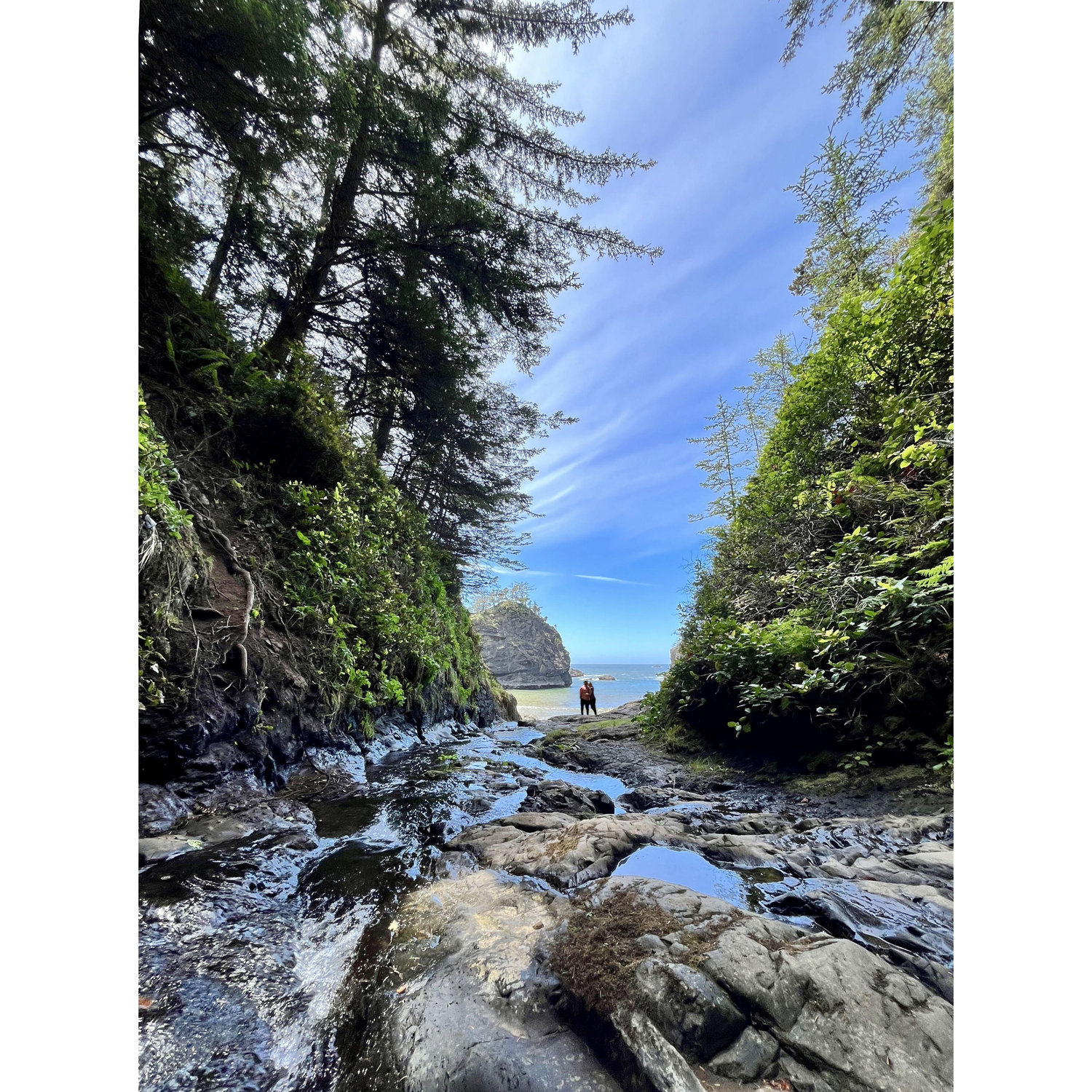 Brookings, Oregon