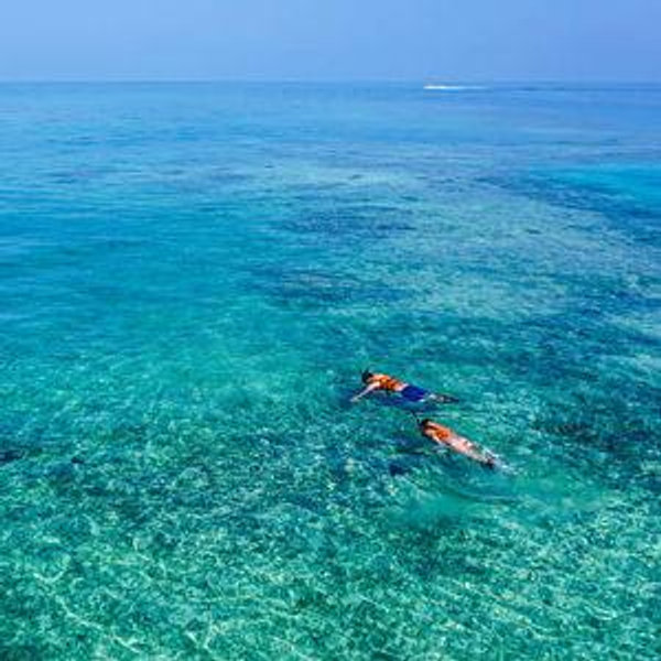 Snorkeling in Hawaii