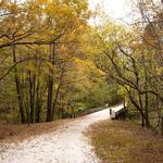 William B Umstead State Park Road