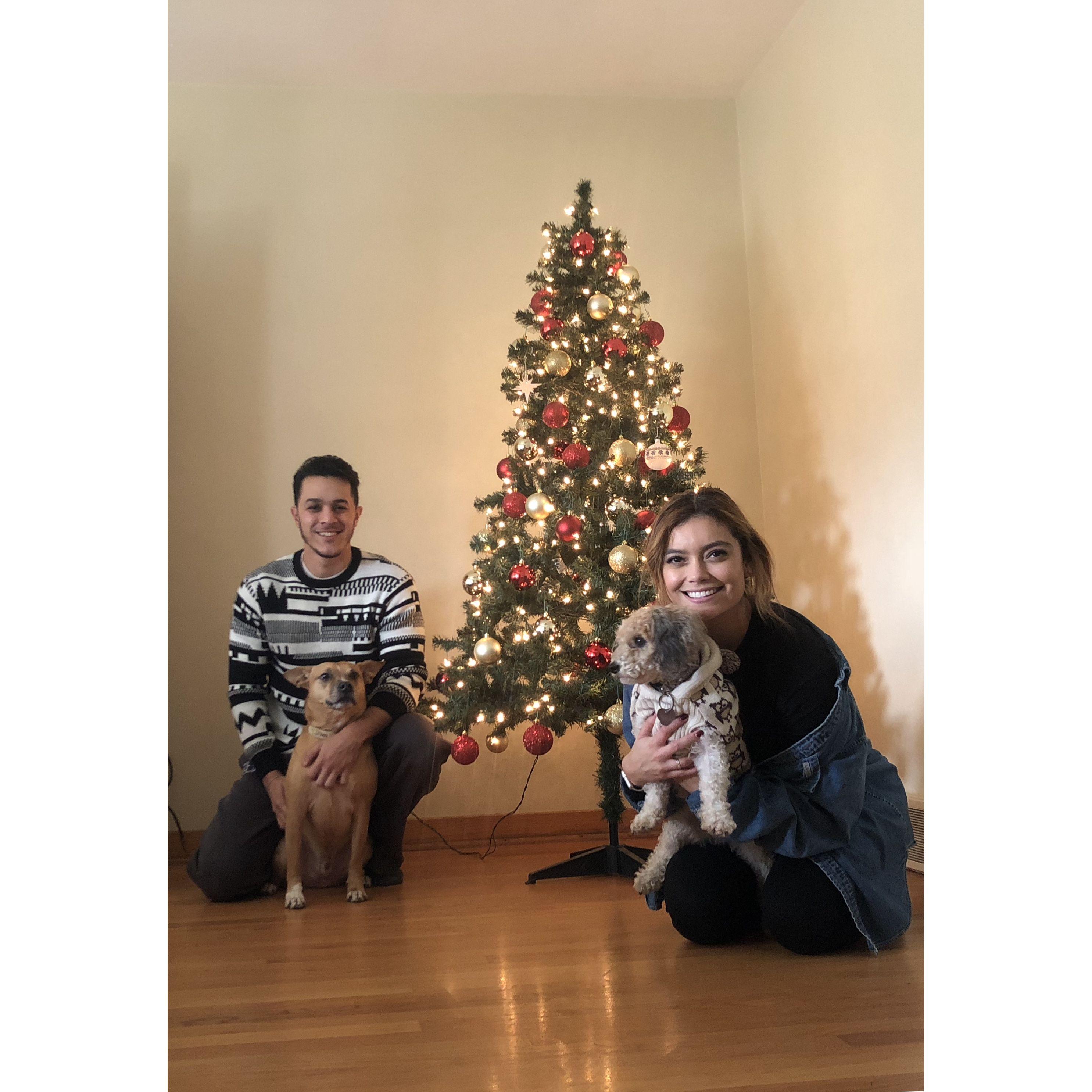 2018: First Christmas together. No star for the tree and getting this picture with the dogs was a struggle!