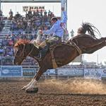 Black Hills Roundup