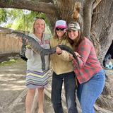 Colorado Gators Reptile Park