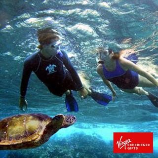 Maui Kayak, Snorkel & Waterfalls Tour - Hawaii