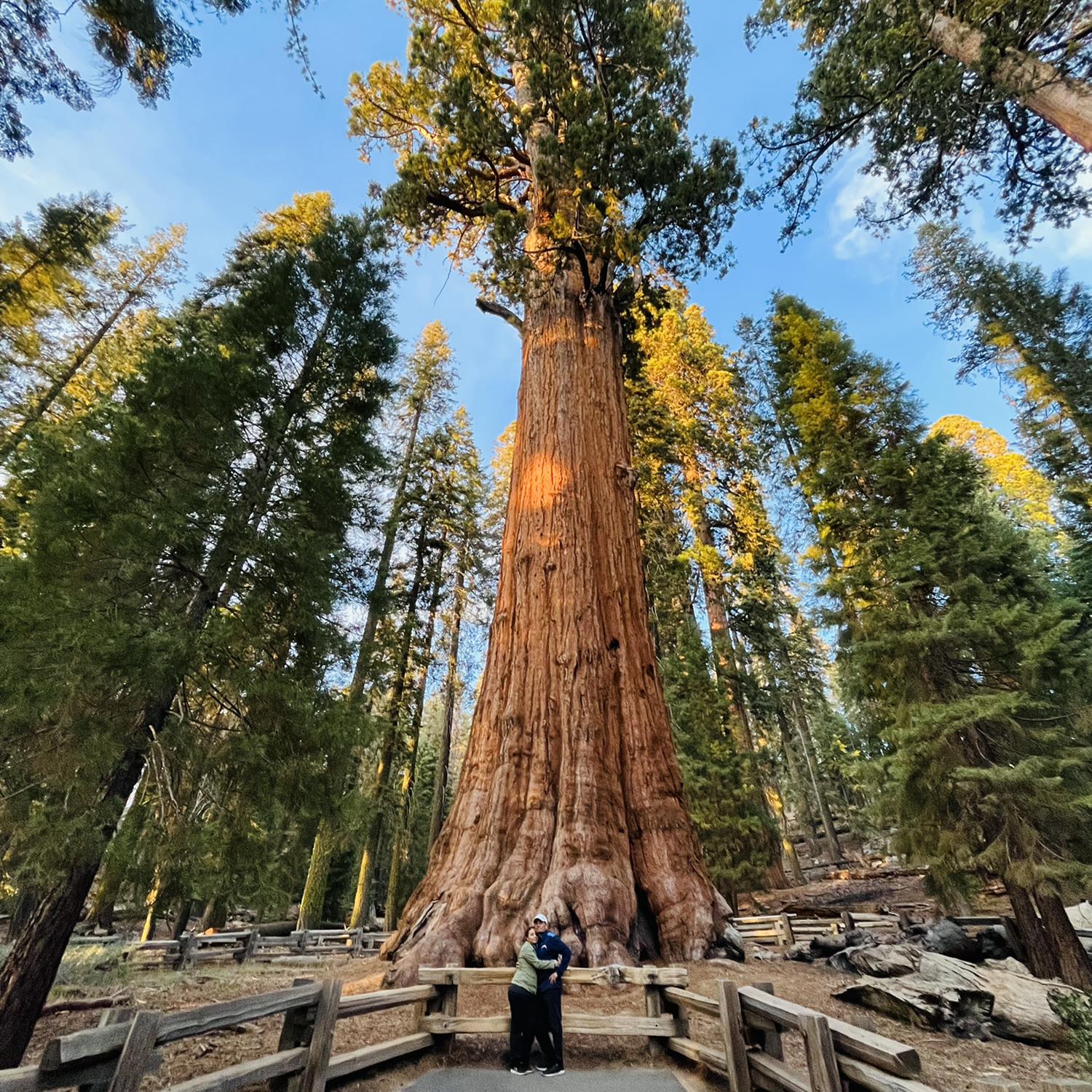 Sequoia National Park October 2022. We are home in nature.