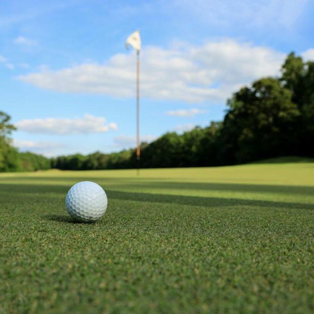 Golfing on Honeymoon