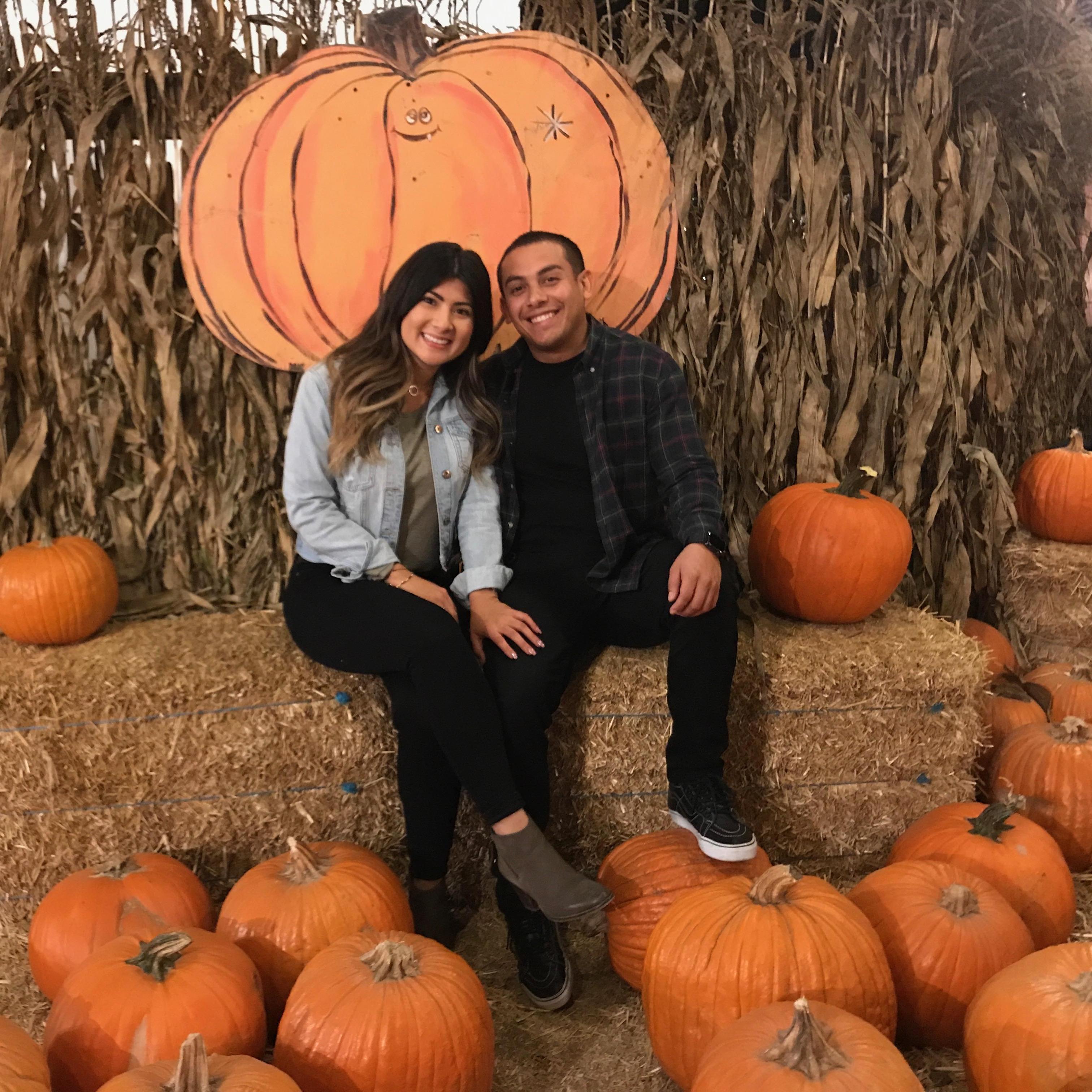 Pumpkin patch 2017