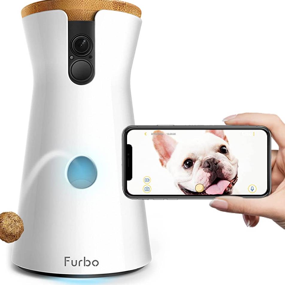 Dog camera