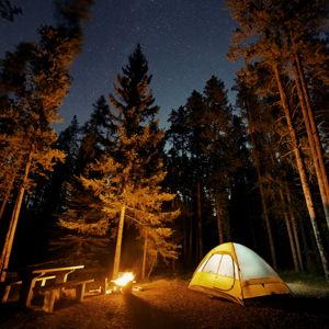Camping Trip