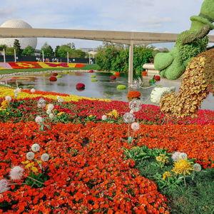 Epcot Flower and Garden Festival