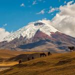 Cotopaxi Parque Nacional | Highlands