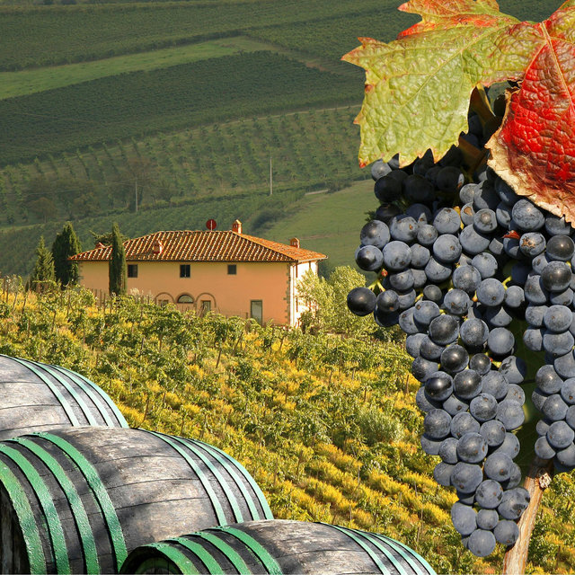 Tuscan Winery Tour