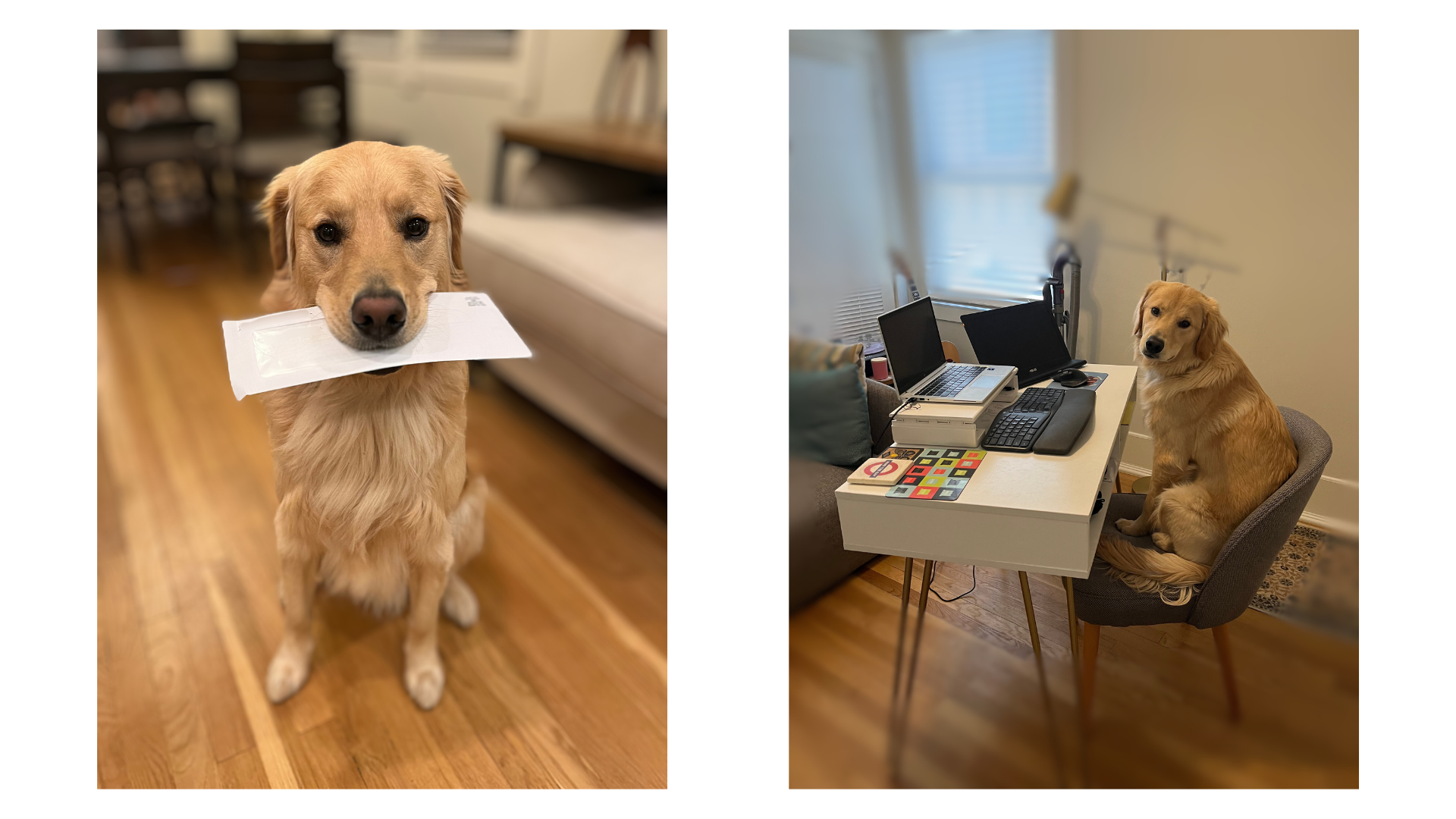 The Wedding Website of Sarah Murphy and Brien Twomey