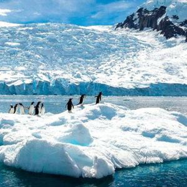 Antarctica Honeymoon