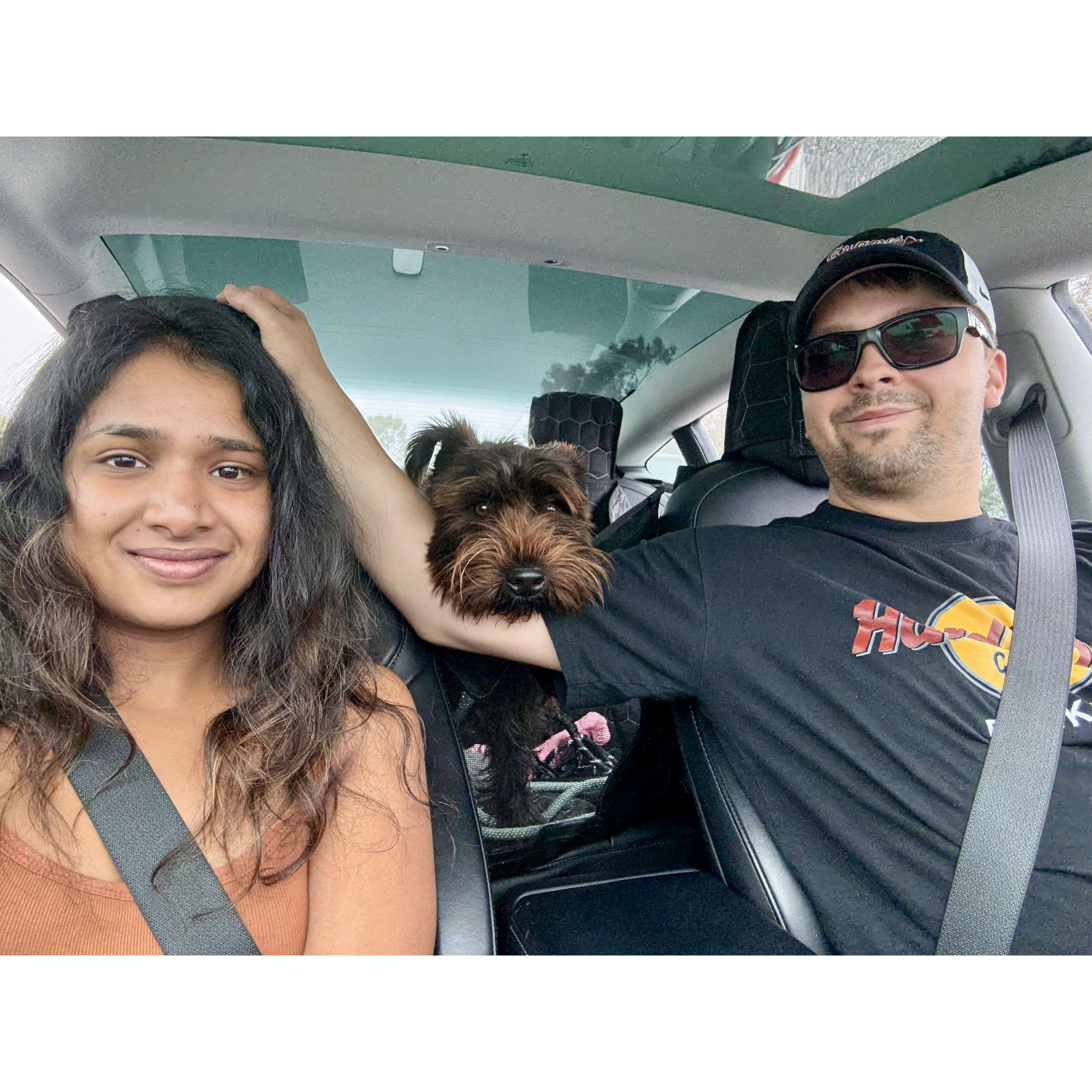 One more car ride with Matcha — never getting tired of this co-pilot!