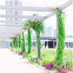 McGovern Centennial Gardens