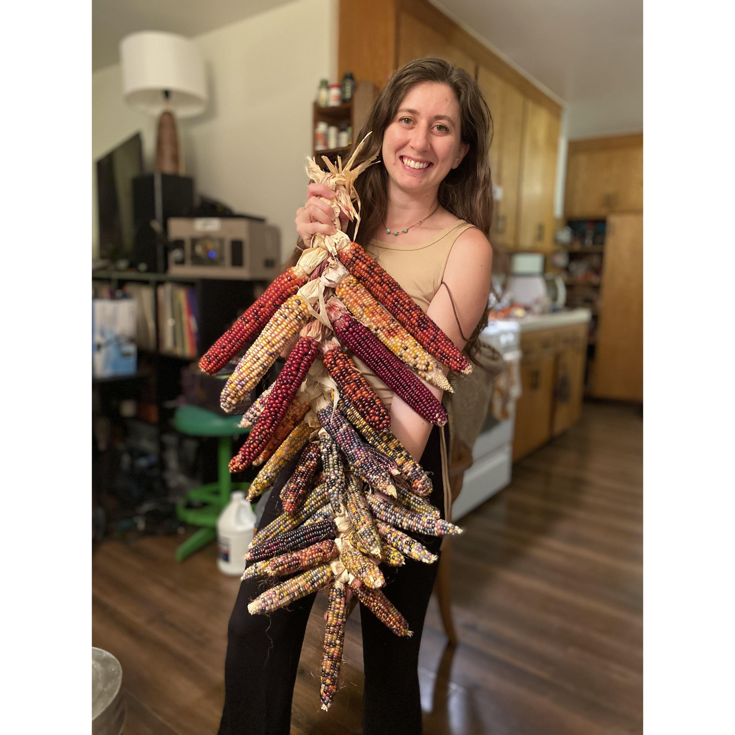 My first ever corn harvest!
