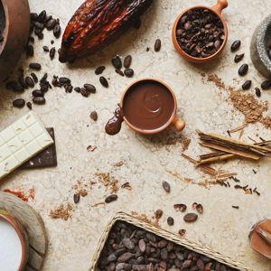 Antigua "Bean-to-Bar" Chocolate Workshop